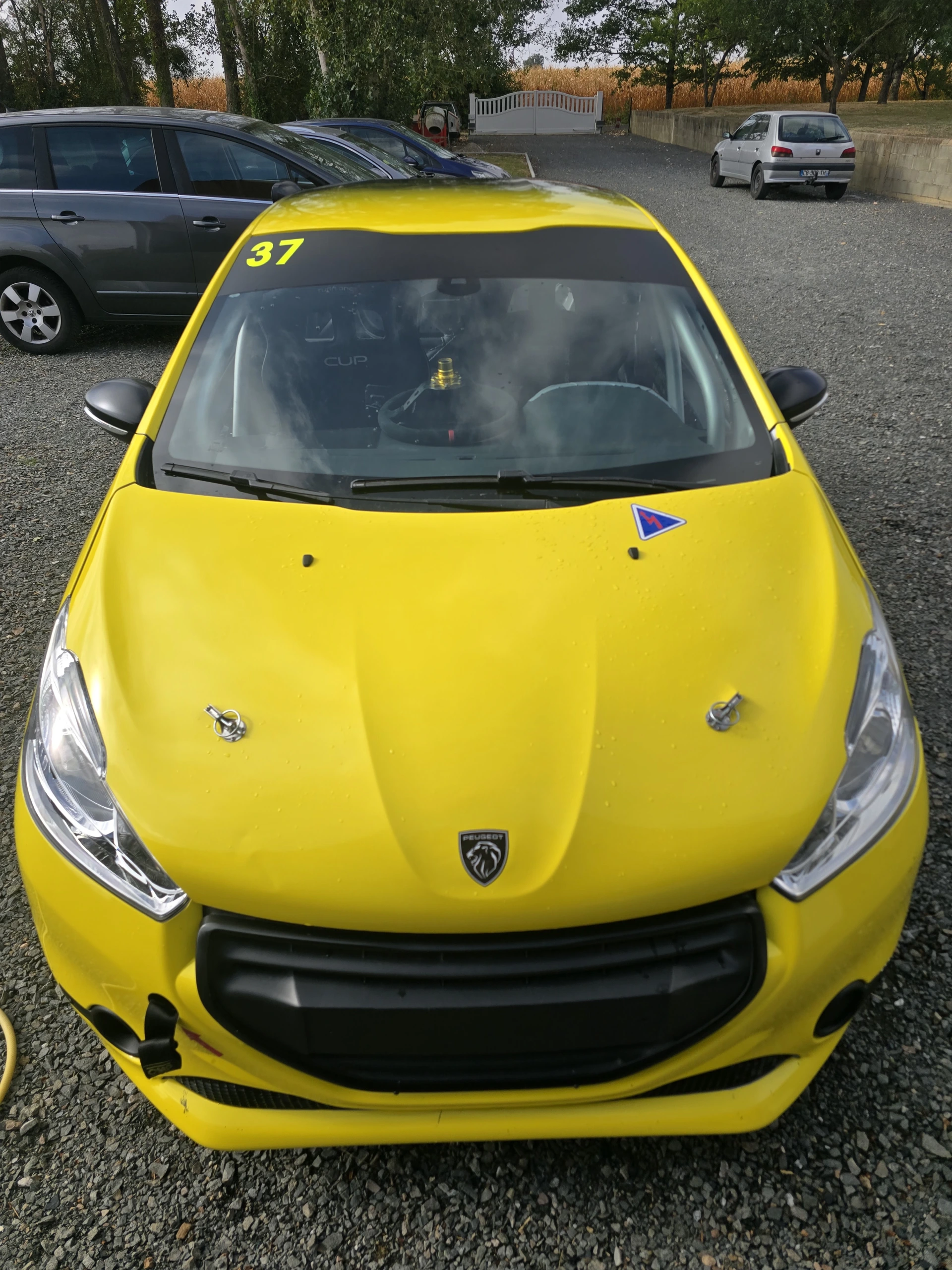 Peugeot 208 with a 206 RC Group N F2000 engine – photo 3