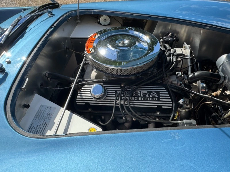 289 COBRA BY HAWK, FORD 289ci V8