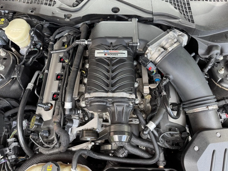 MUSTANG FORD DÉRANGÉE GT-S700