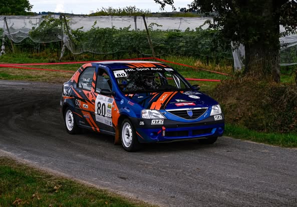 Dacia Logan N2S Matter