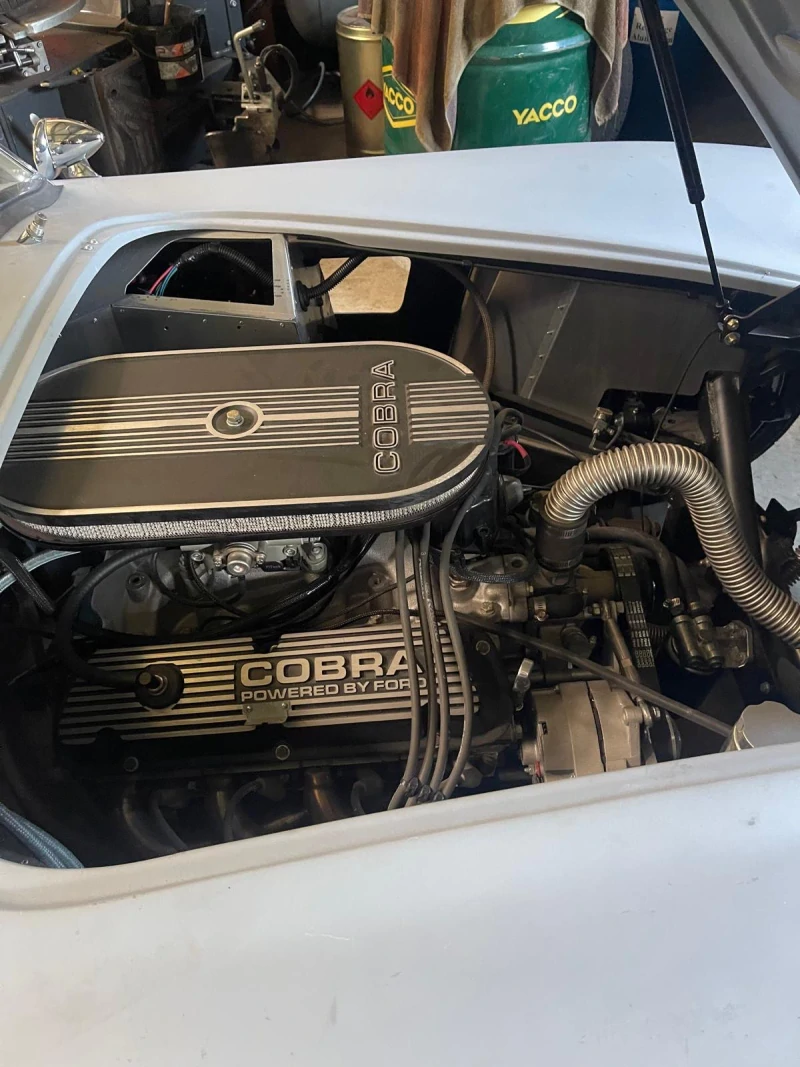 Cobra strikes back
