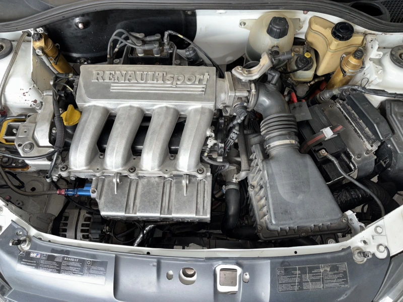 Clio Ragnotti top N3