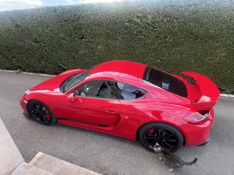 Porsche Cayman GT4 981