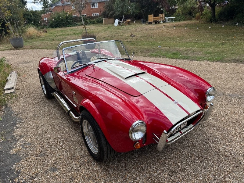 COBRA DE PILGRIM MOTORSPORTS, V8 3,5