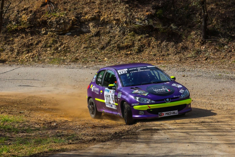 Peugeot 206 XS N2S