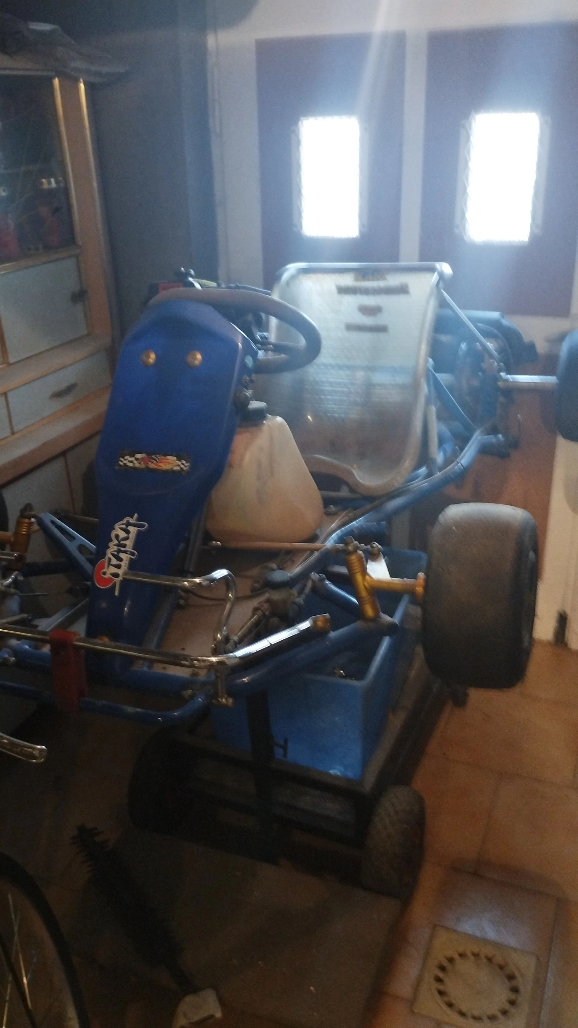 Karting rotax 125 max