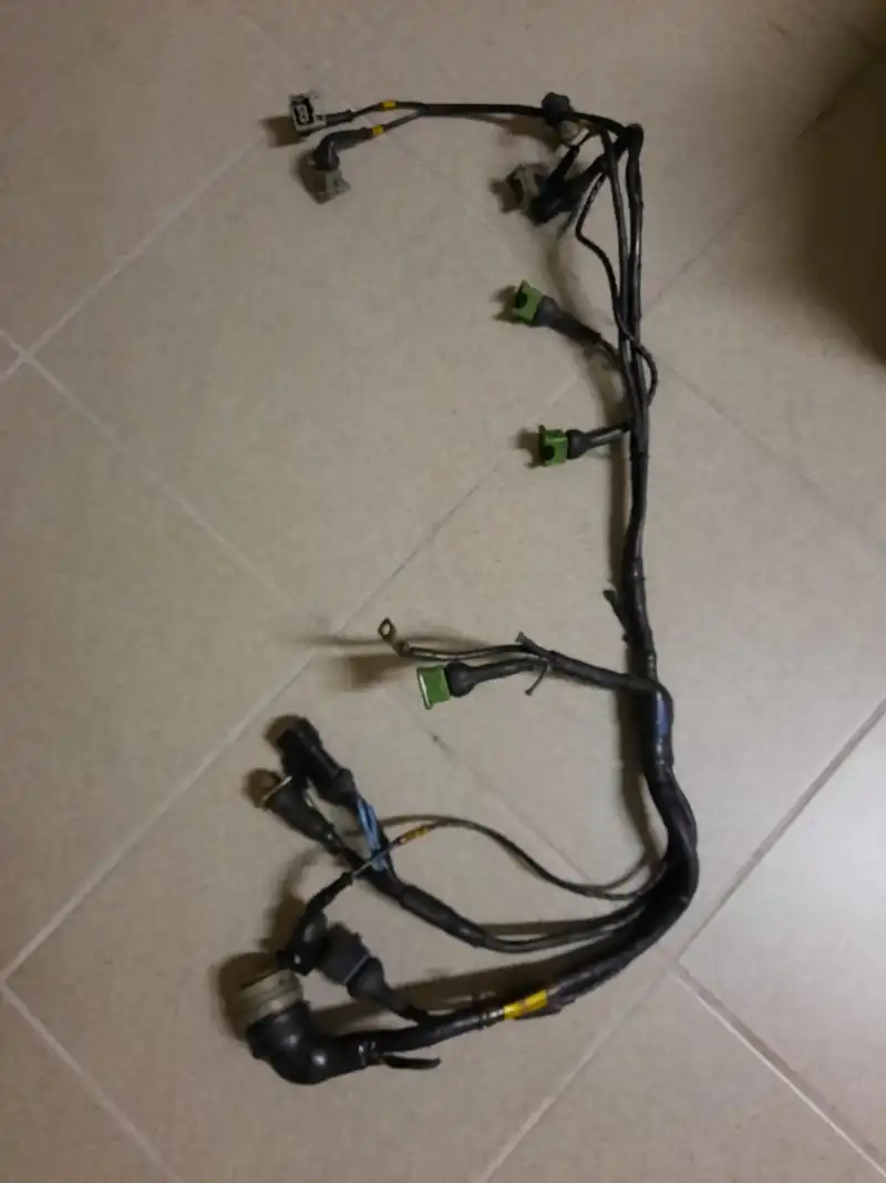 Fiat F3 electrical wiring
