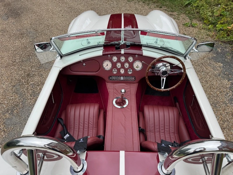 COBRA DE GARDNER DOUGLAS, CHÂSSIS MK4 EURO, V8 LS3