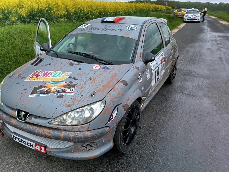 Peugeot 206 RC f2014