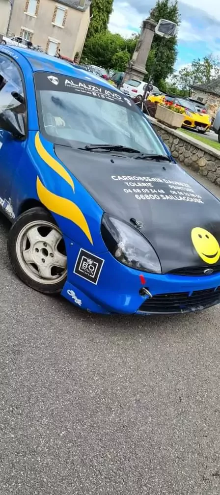Ford puma CUP