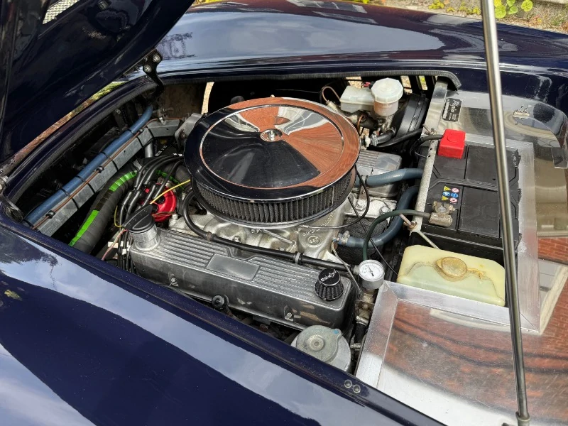 Cobra par Pilgrim Motorsports 3.9 V8