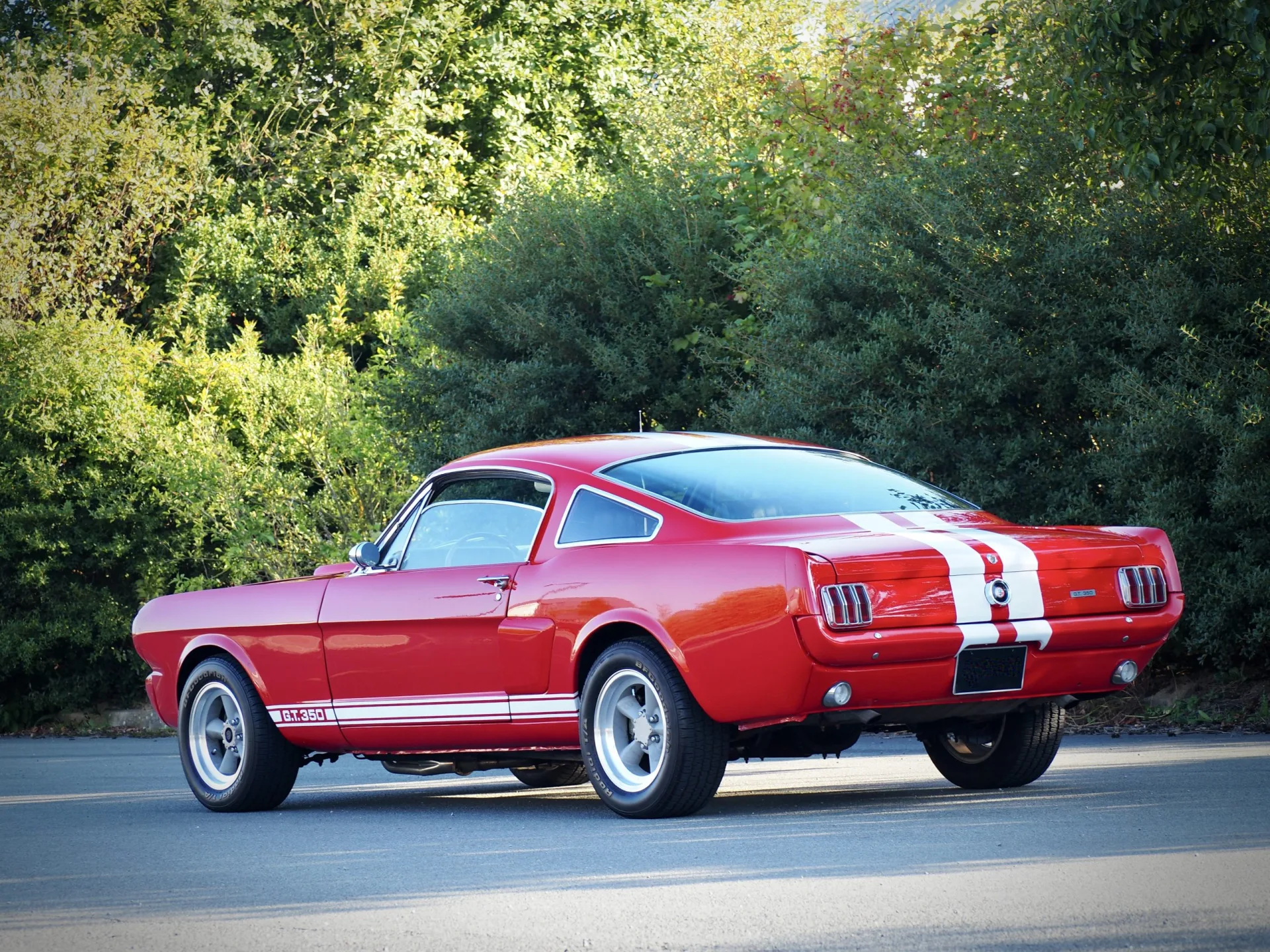 FORD MUSTANG GT.350 Evocation – 1965 – photo 2