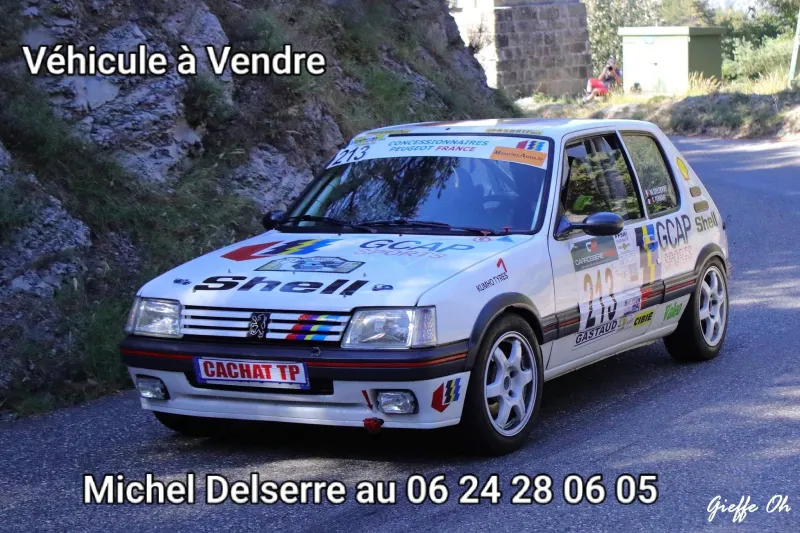 Peugeot 205 GTI 1600 GROUP A, VHC