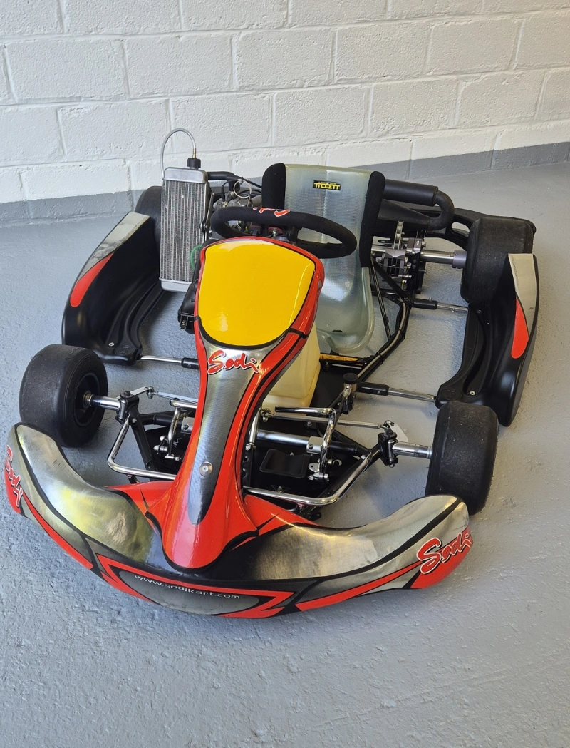 Rotax 125 Sodikart kart