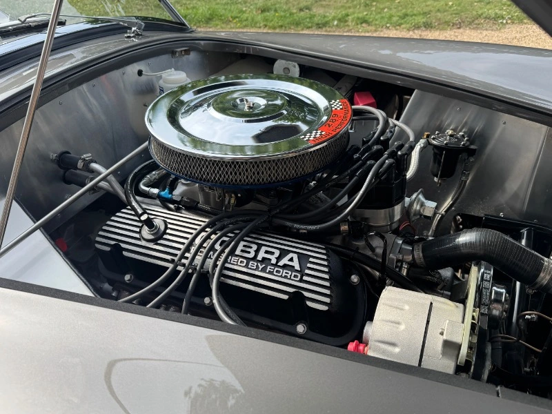 COBRA 289 de HAWK, Ford V8 289 ci (4,7)