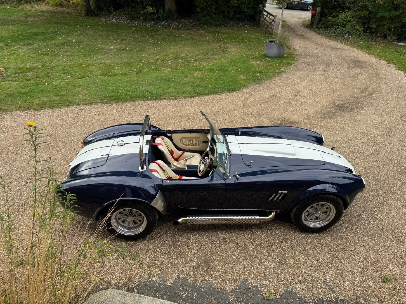 Cobra de Pilgrim Motorsports, 4.2 V8