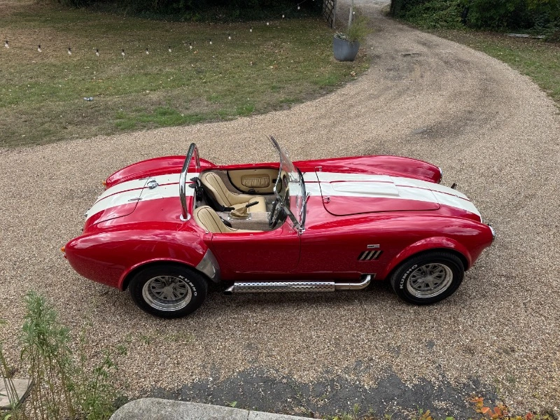 COBRA DE PILGRIM MOTORSPORTS, V8 3,5