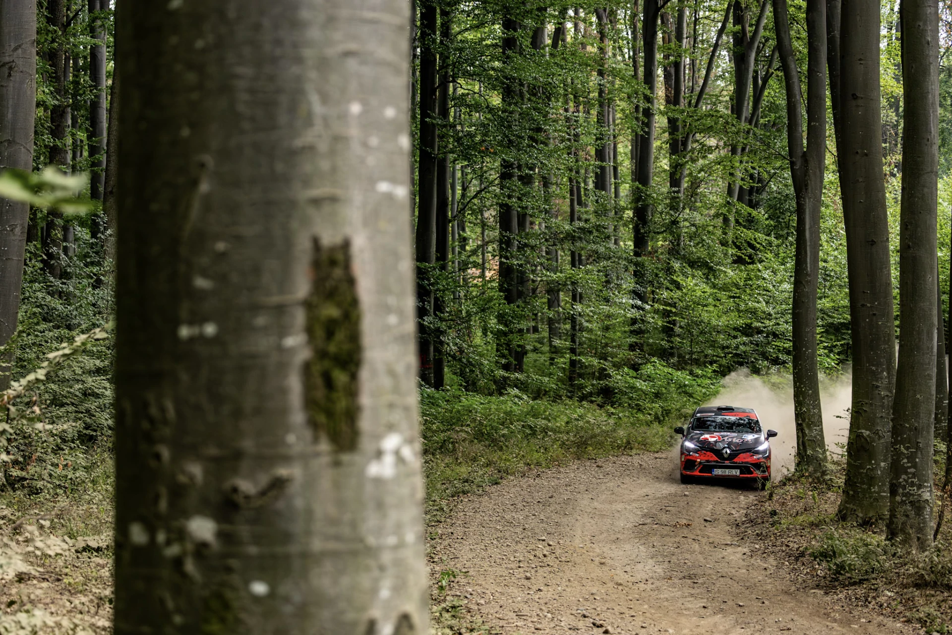 Renault Clio Rally 5 Gravel+Tarmac #685 – photo 4