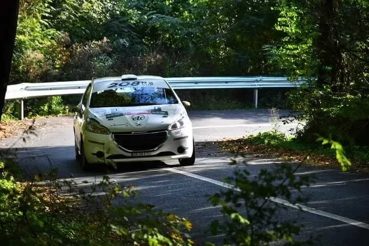 A vendre 3 Peugeot 208R2