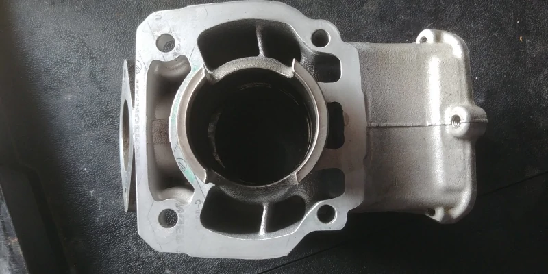 Rotax max evo cylinder