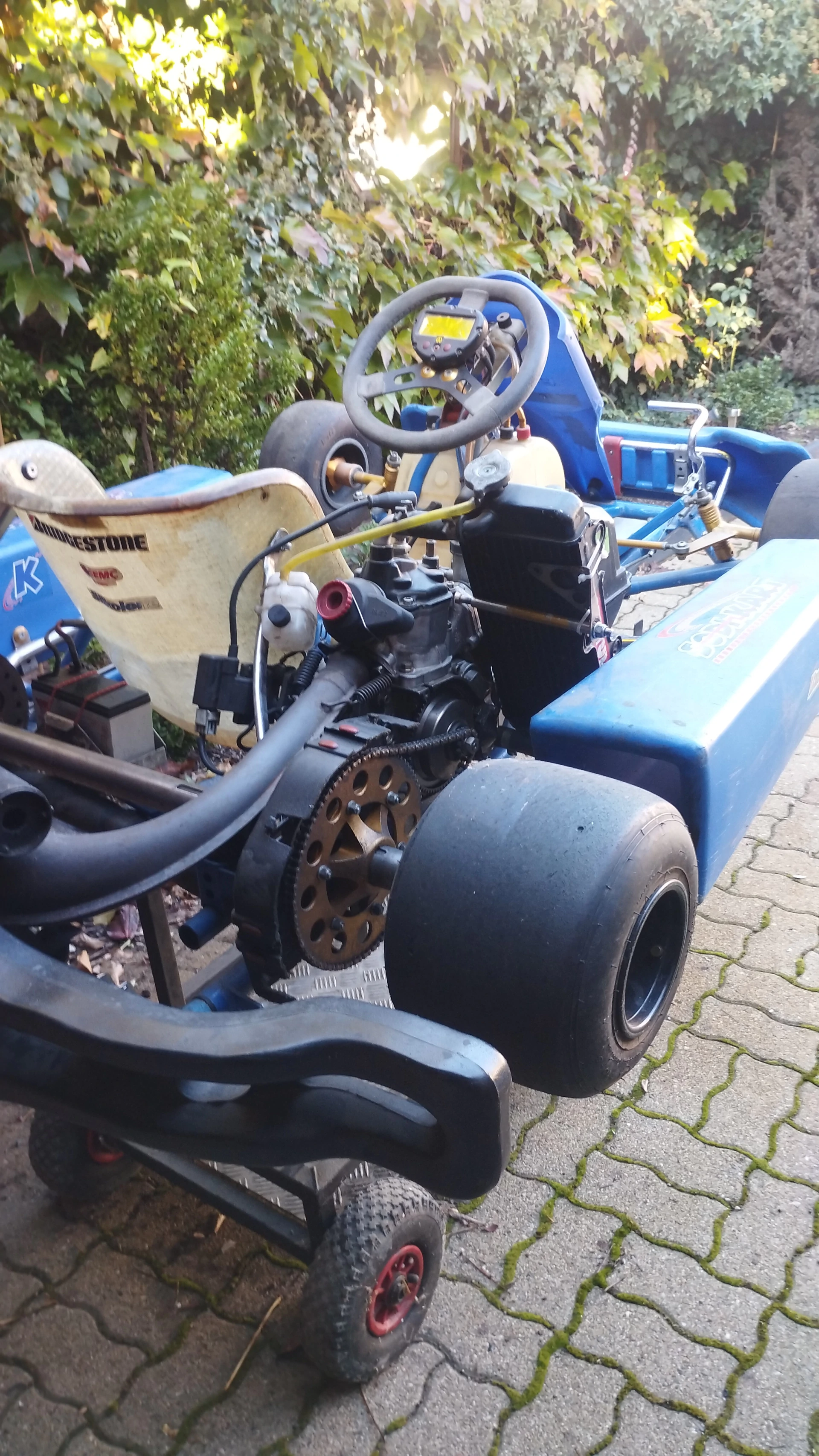 Karting rotax 125 2T