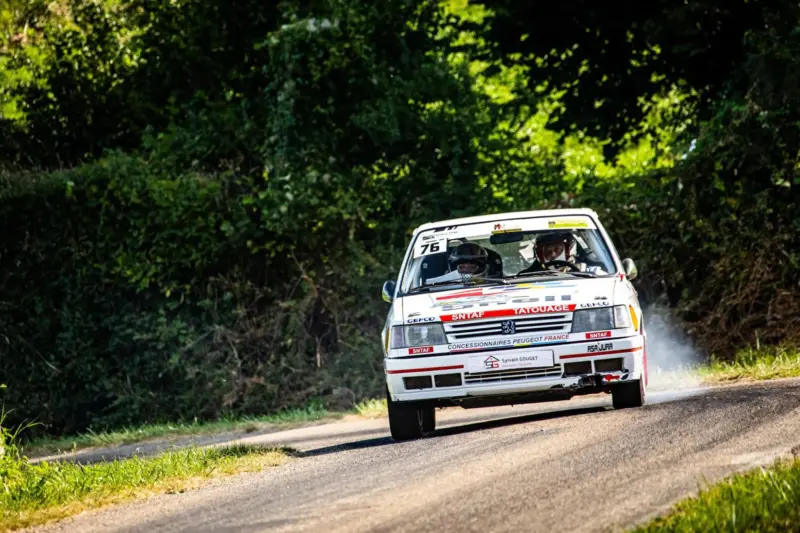 309 gti HCV and group A