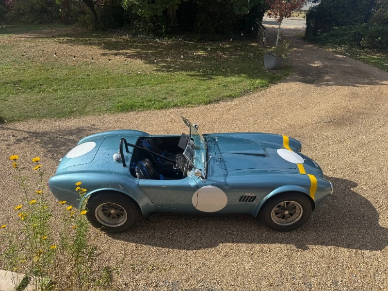 COBRA 289 FIA par HAWK