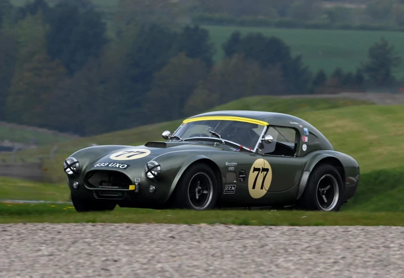 Shelby Cobra FIA 289 de 1965
