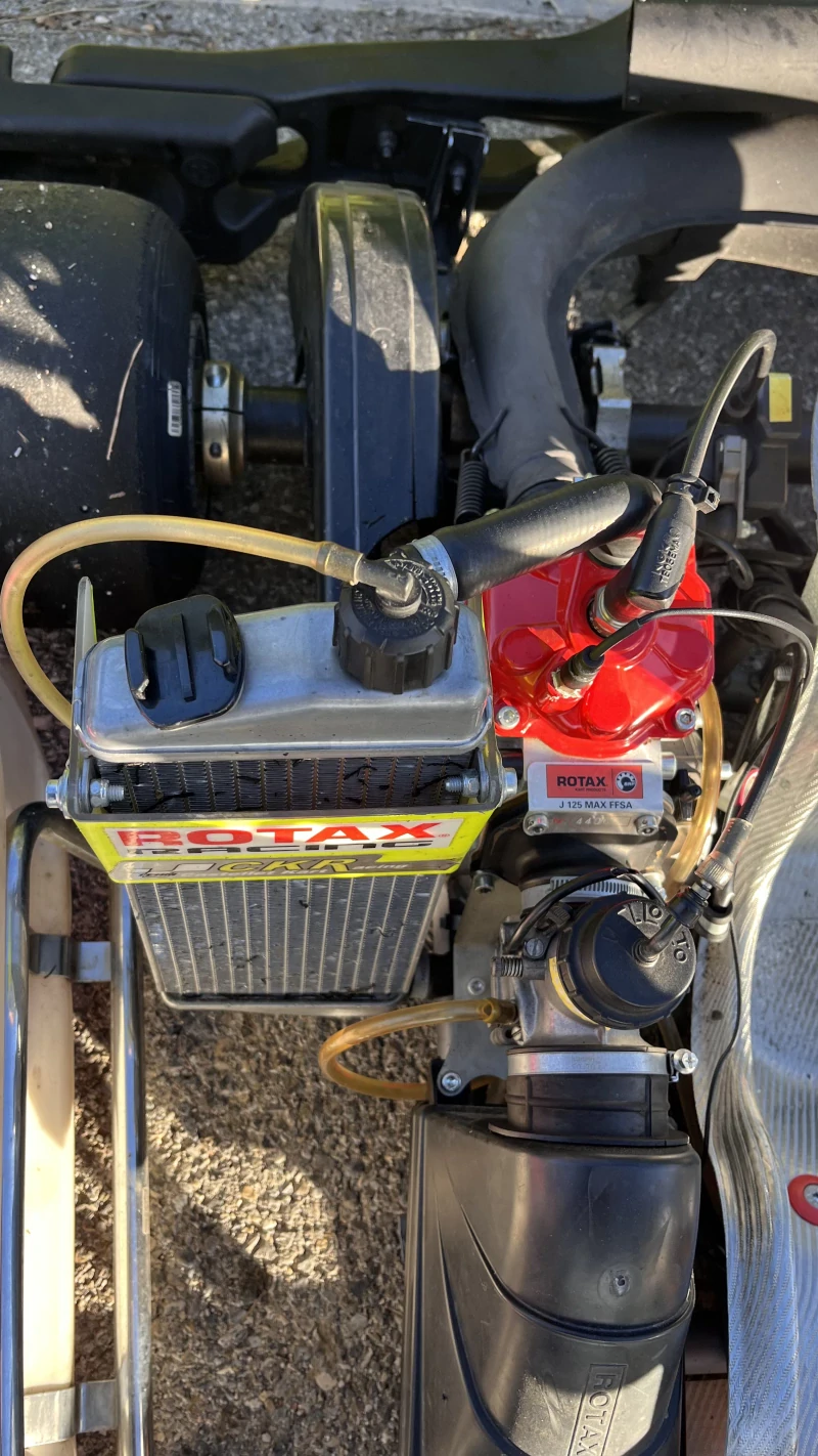 Rotax 125 competition kart + Alfano 6