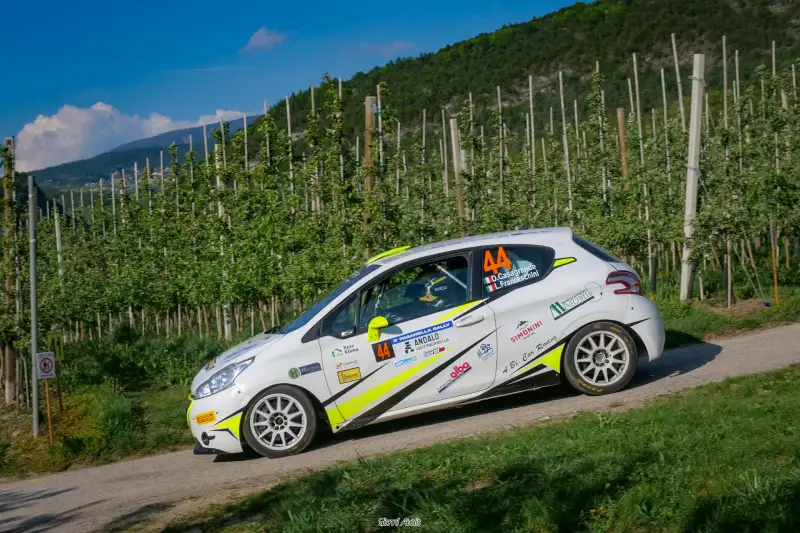 Peugeot 208 R2