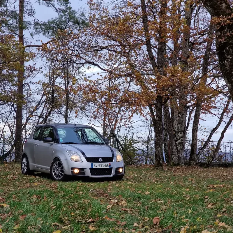 Swift sport zc31s
