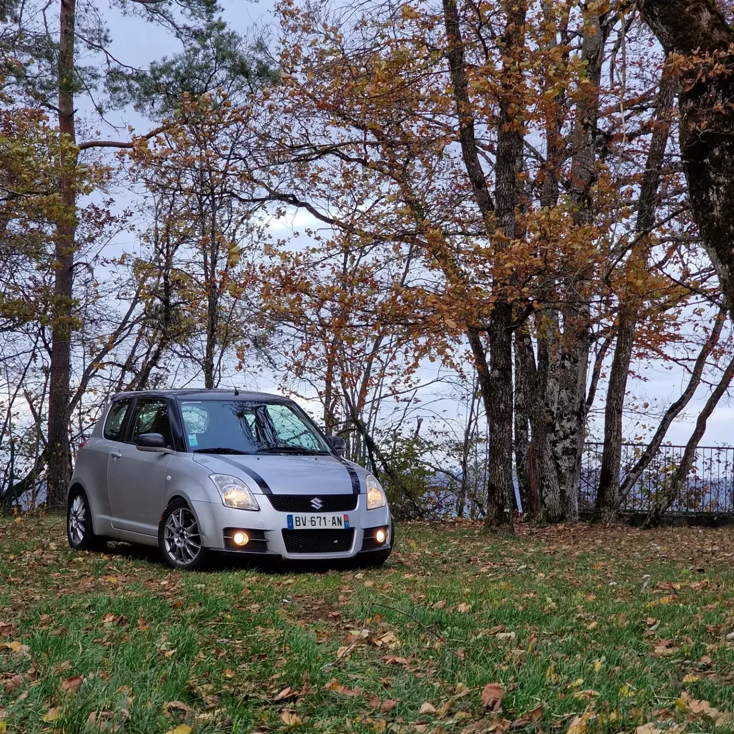 Swift sport zc31s