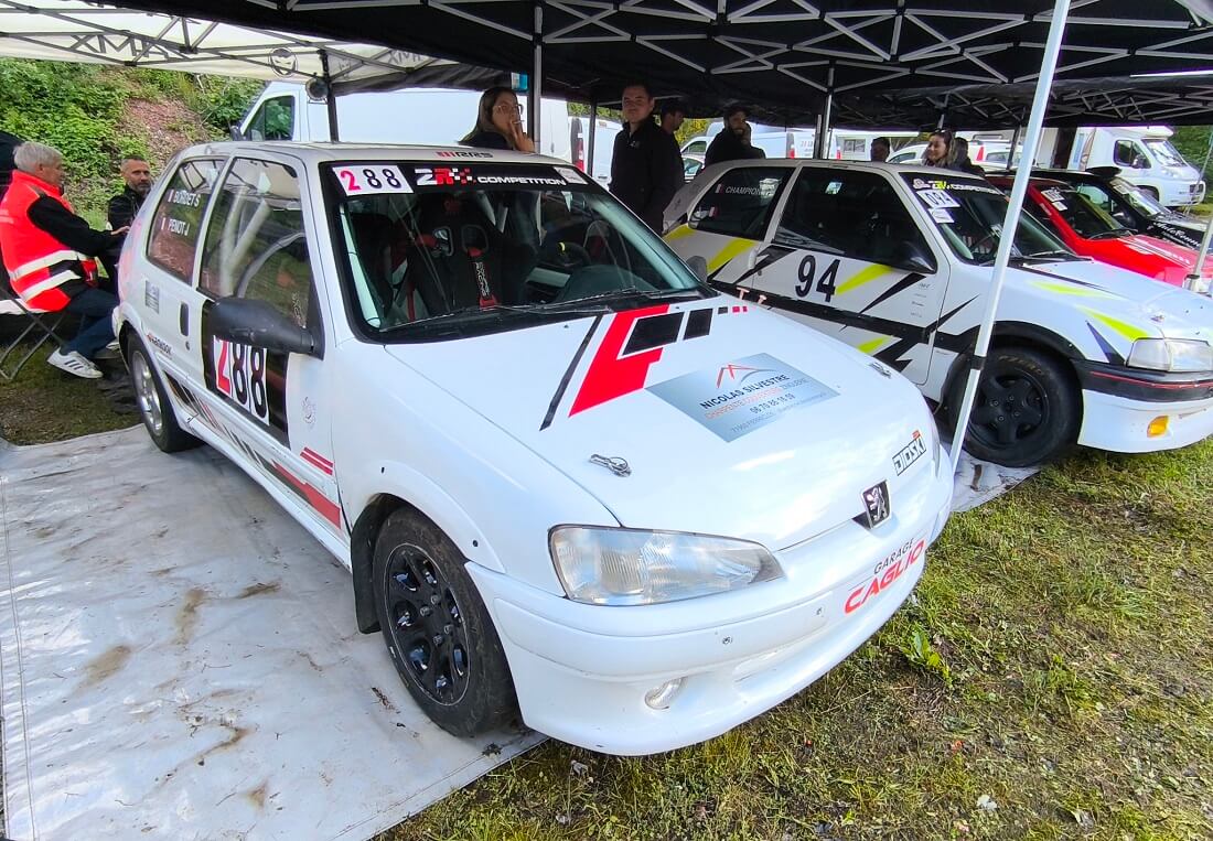 Peugeot 106 from Group N