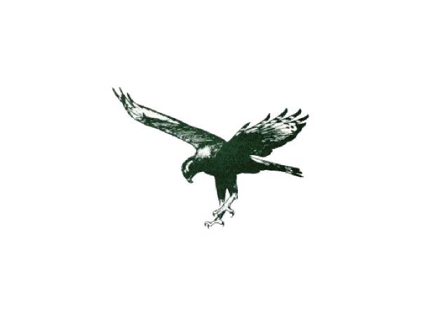 eagle-cars-logo