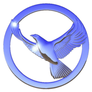 hawk-cars-logo